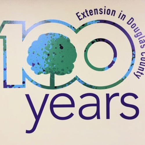 Wall Graphics